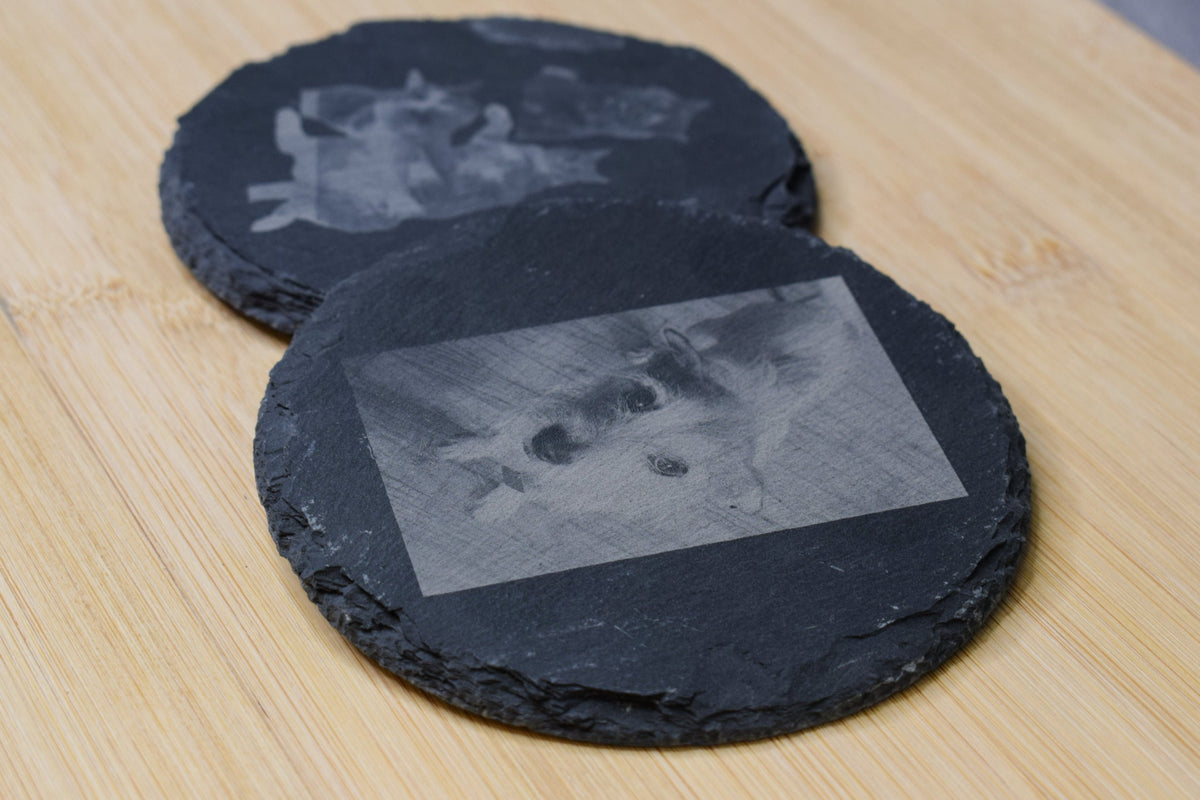 A pair of circle slate coasters with images of cats and dogs engraved on the top, set on a wooden surface