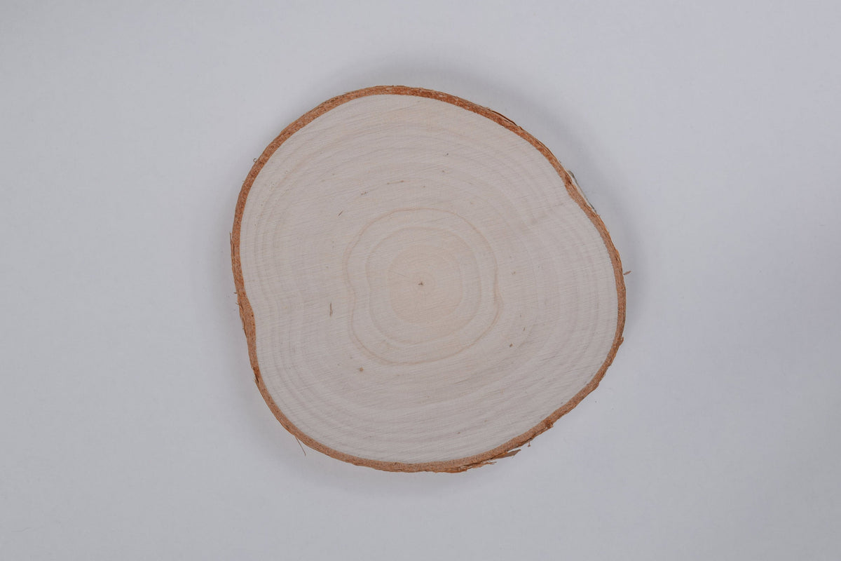 a circular birch wood coaster lying on a white background