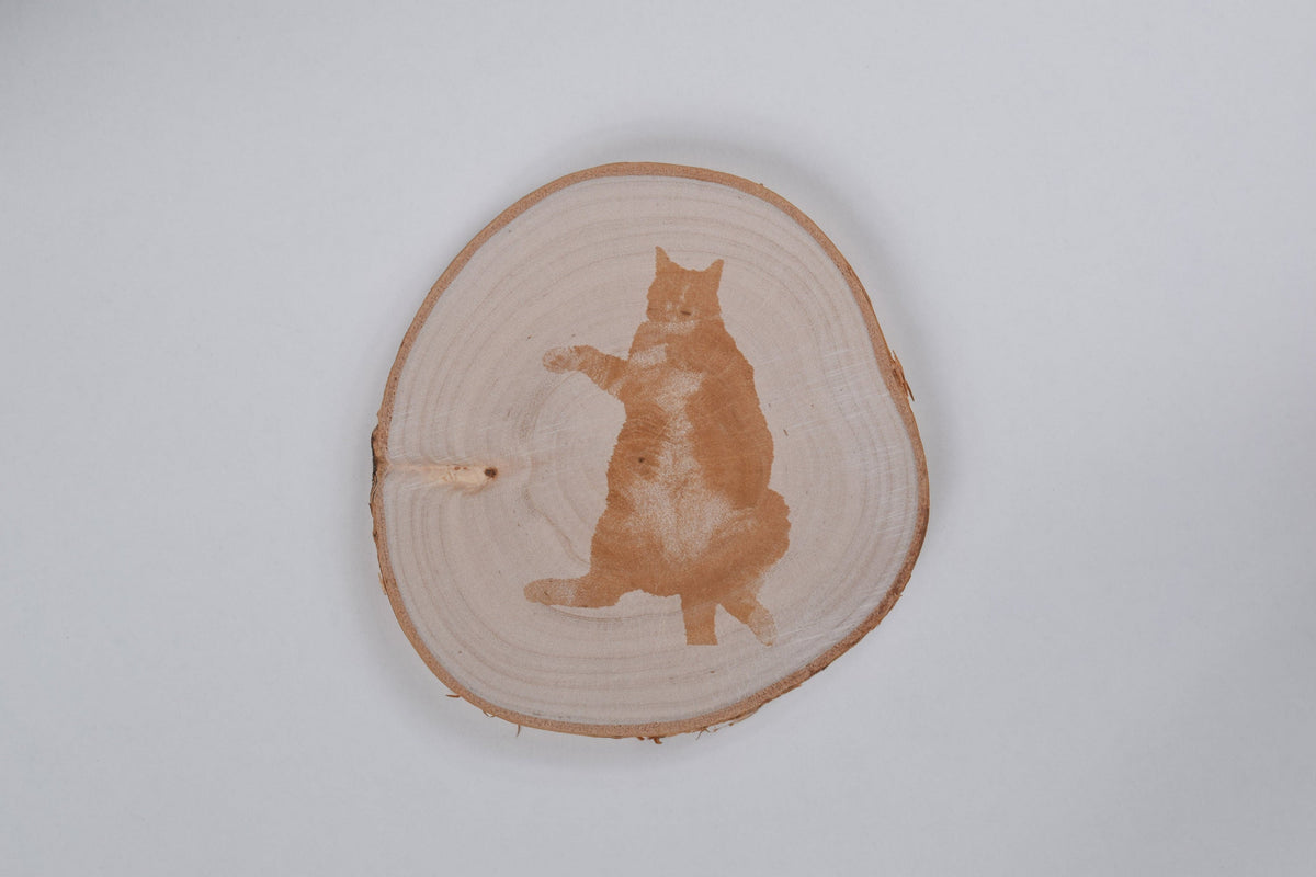 a birch coaster with an image of a cat engraved in it, against a white background
