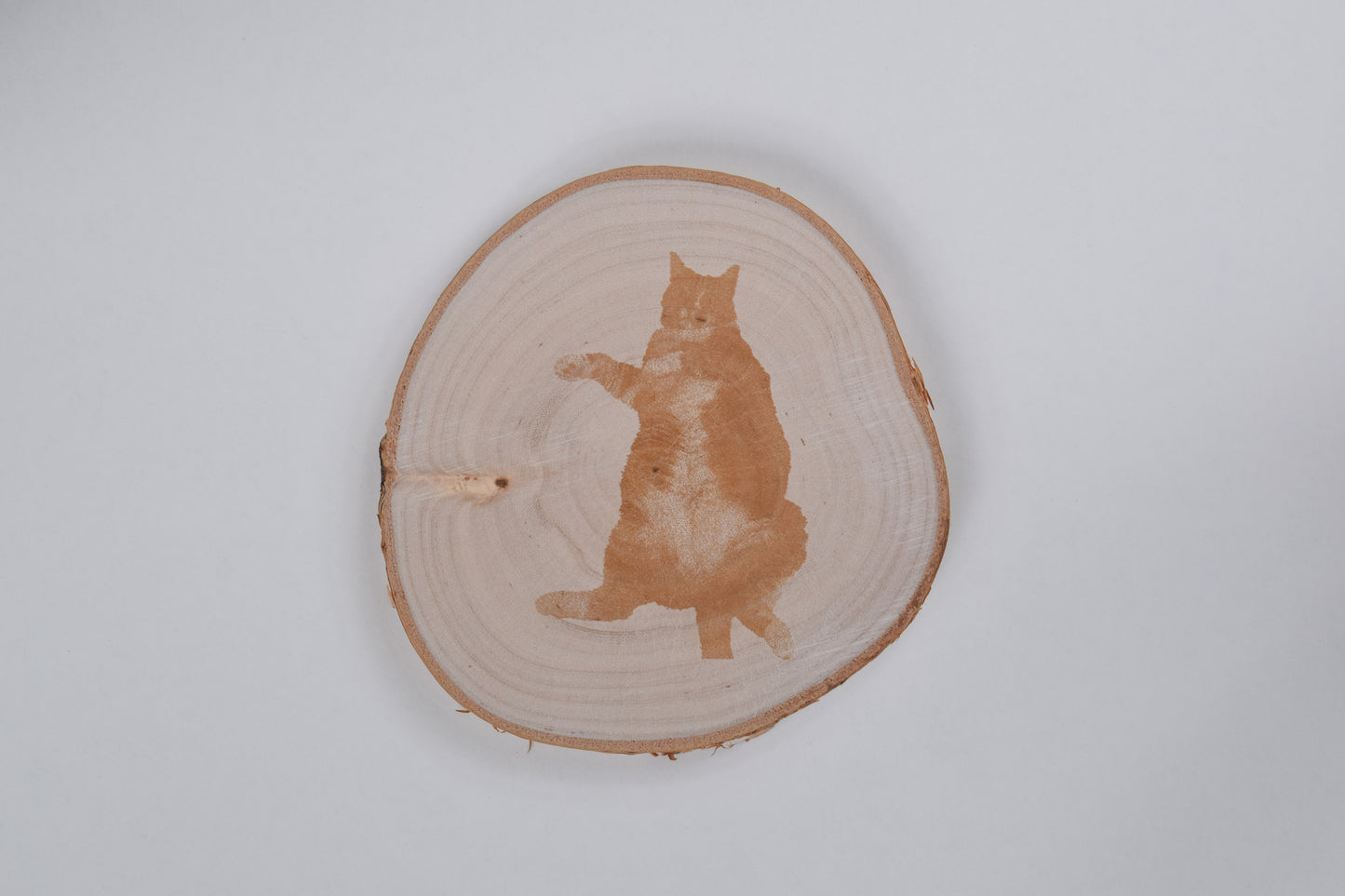 Birch Wooden Coaster