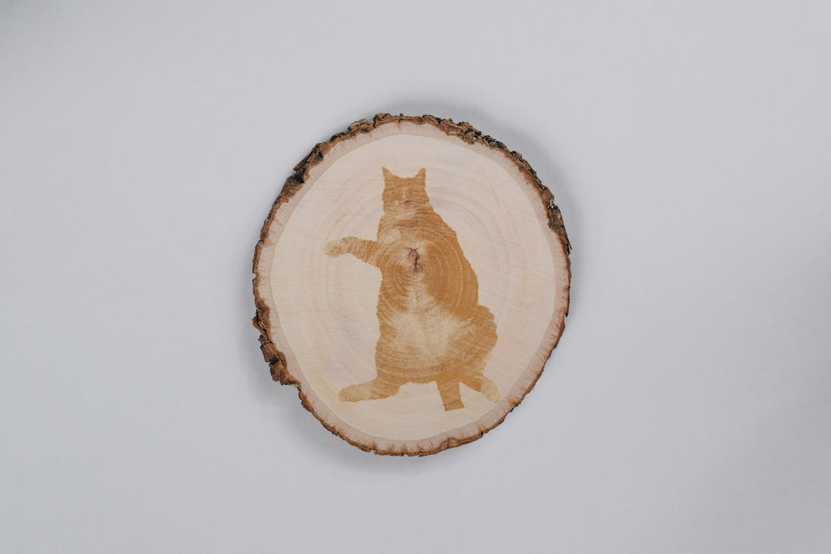 a basswood coaster with an image of a cat engraved on it, against a white background