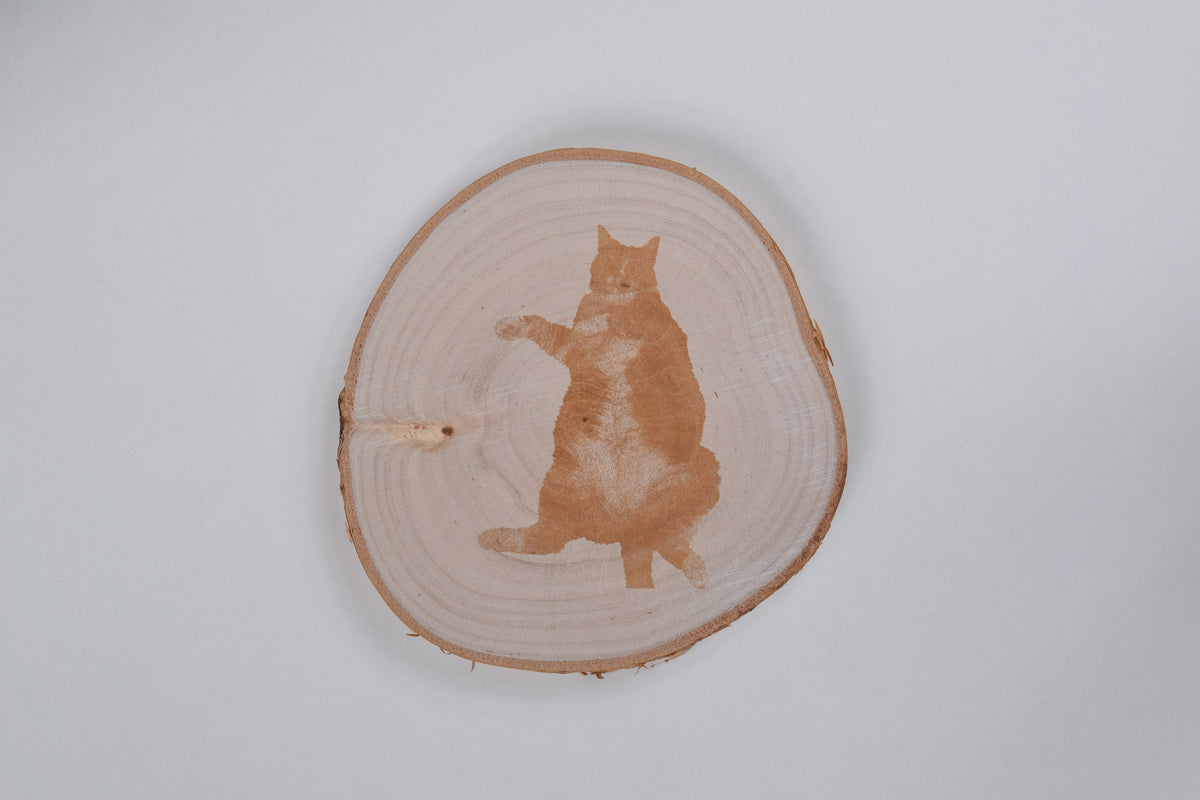 a birch coaster with an image of a cat engraved in it, against a white background